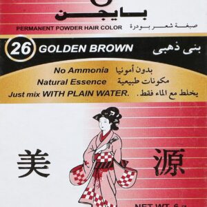 صبغة بايجن